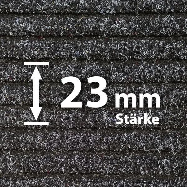 Rauhaaripsmatte 23 mm - Hochwertige Schmutzfangmatte von Matten24