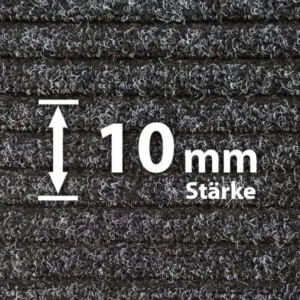 Rauhaaripsmatte 10 mm - Hochwertige Schmutzfangmatte von Matten24