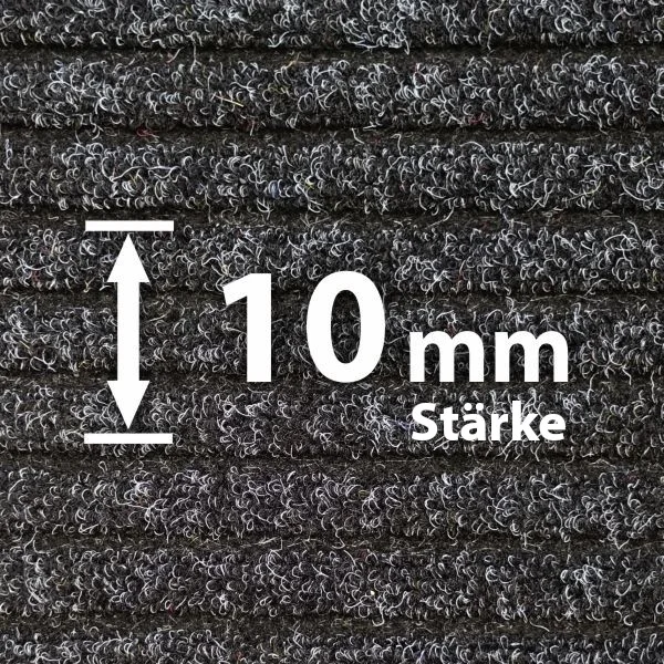 Rauhaaripsmatte 10 mm - Hochwertige Schmutzfangmatte von Matten24