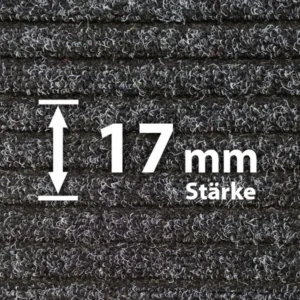 Rauhaaripsmatte 17 mm - Hochwertige Schmutzfangmatte von Matten24