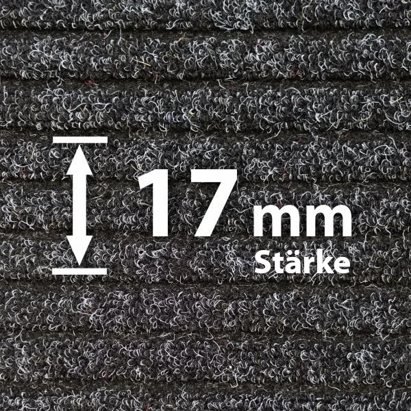 Rauhaaripsmatte 17 mm - Hochwertige Schmutzfangmatte von Matten24